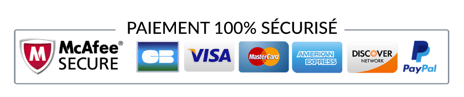 paiement securise stripe paypal mcafee